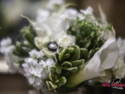 Wedding-Craig-Meredith-Vickers-5371
