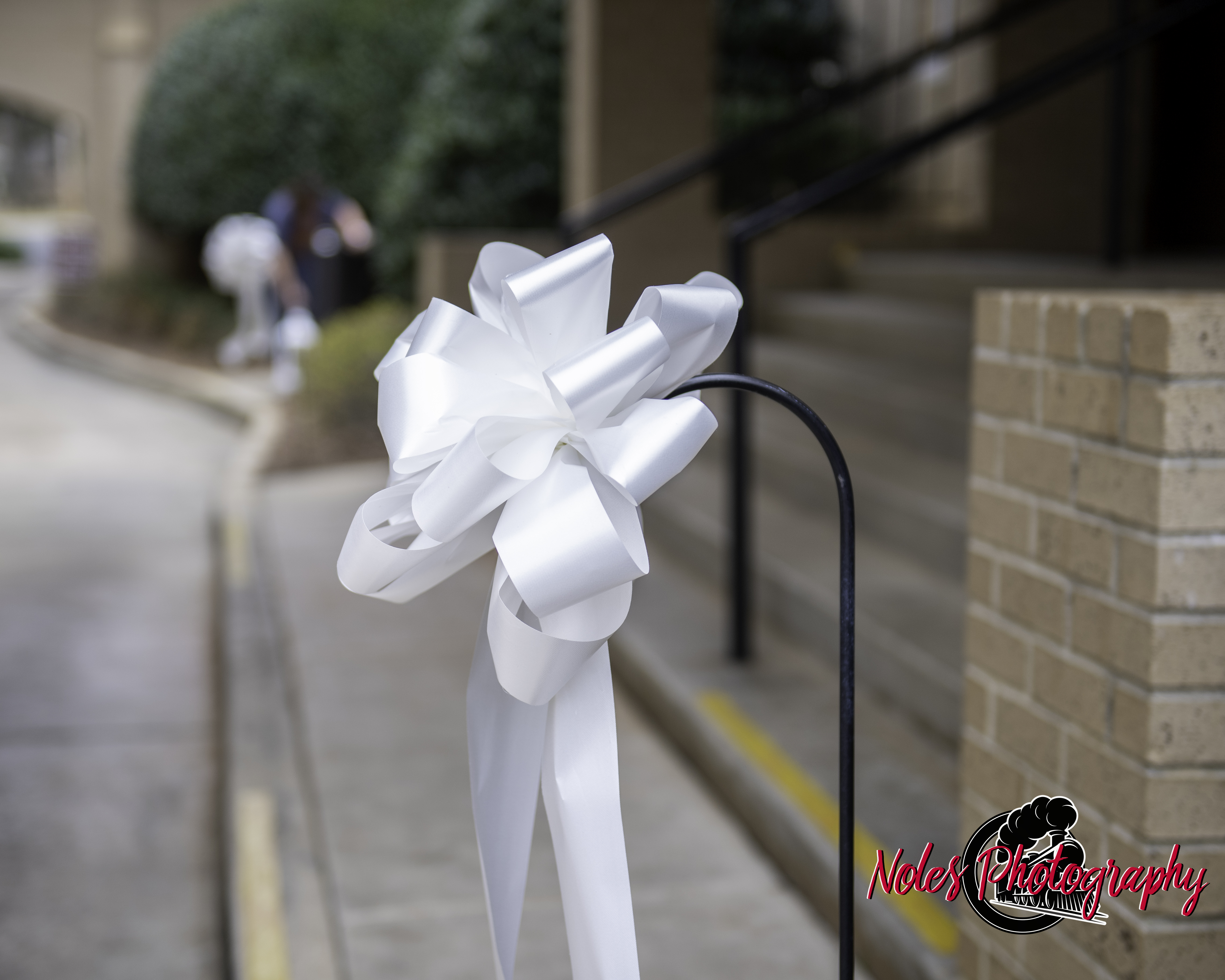 Wedding-Craig-Meredith-Vickers-6951