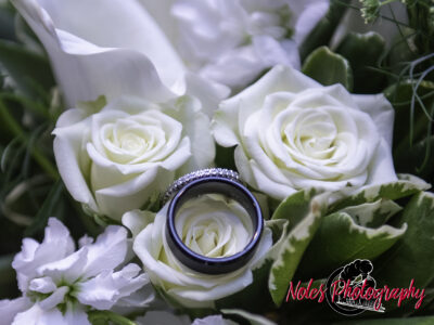 Wedding-Craig-Meredith-Vickers-7112