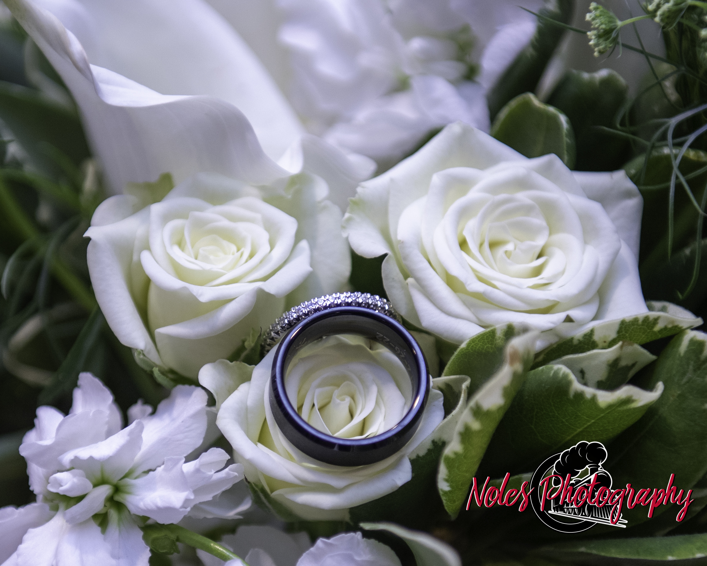 Wedding-Craig-Meredith-Vickers-7112