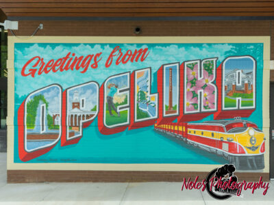 Mural-Opelika-Public-Library-2260