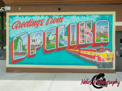 Mural-Opelika-Public-Library-2263