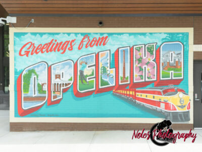 Mural-Opelika-Public-Library-2269