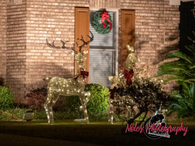 2023-Camelot-Christmas-RN-7437