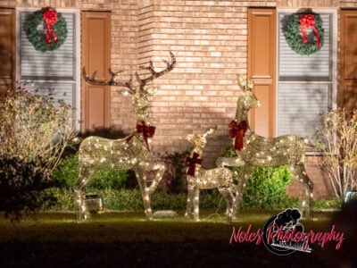 2023-Camelot-Christmas-RN-7438