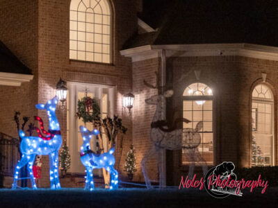 2023-Camelot-Christmas-RN-7463