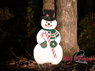 2023-Camelot-Christmas-RN-7502