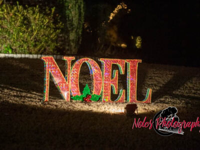 2023-Camelot-Christmas-RN-7515