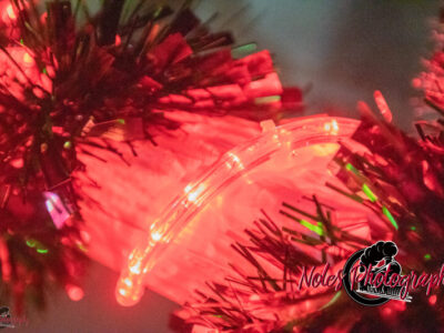 2023-Reindeer-Express_RN_06