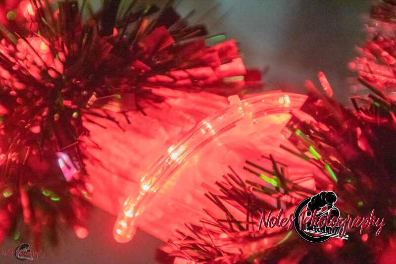 2023-Reindeer-Express_RN_06
