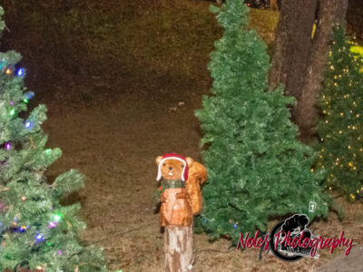 2023-Reindeer-Express_RN_44