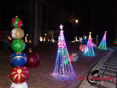 2023-Reindeer-Express_RN_45A