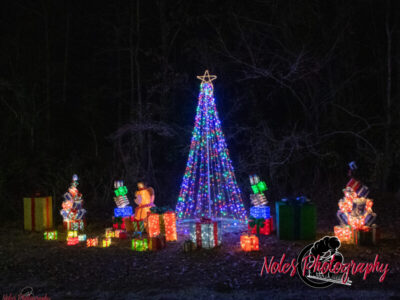 2023-Reindeer-Express_RN_56