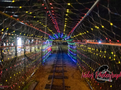 2023-Reindeer-Express_RN_59A
