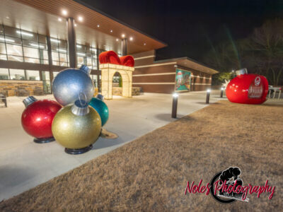 2023-Opelika-Decorations-3