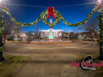2023-Opelika-Decorations-3461