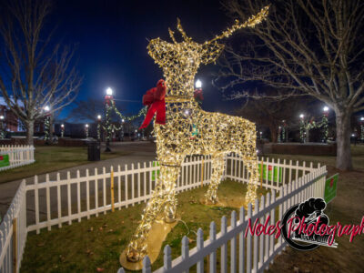 2023-Opelika-Decorations-3472