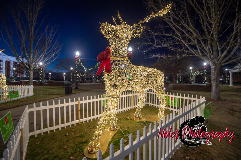 2023-Opelika-Decorations-3472