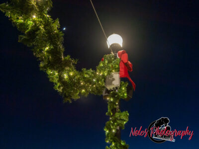 2023-Opelika-Decorations-3473