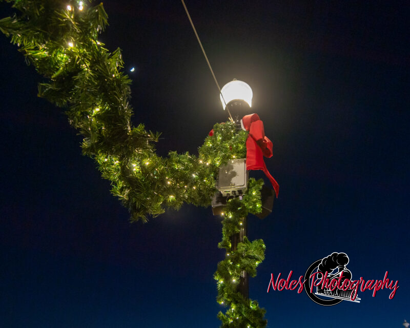 2023-Opelika-Decorations-3473