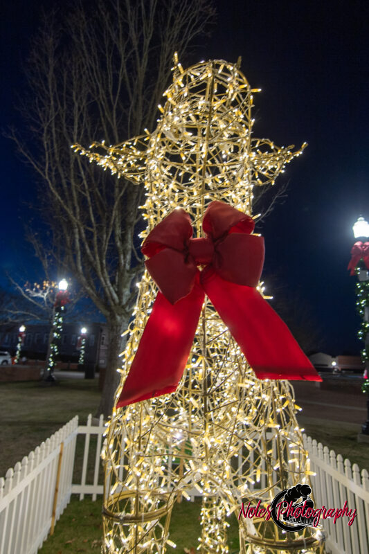 2023-Opelika-Decorations-3474