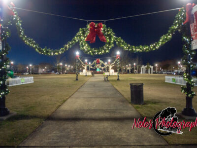 2023-Opelika-Decorations-3476