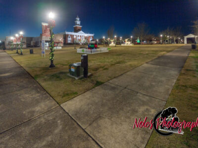 2023-Opelika-Decorations-3479