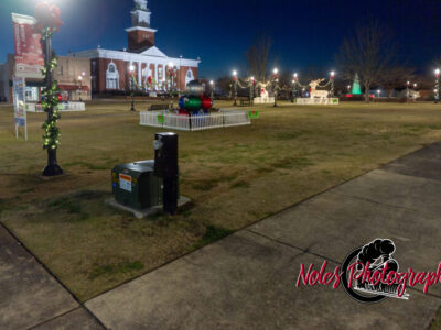 2023-Opelika-Decorations-3480
