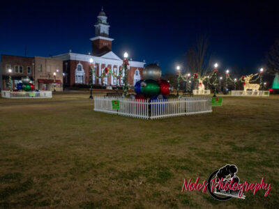 2023-Opelika-Decorations-3482