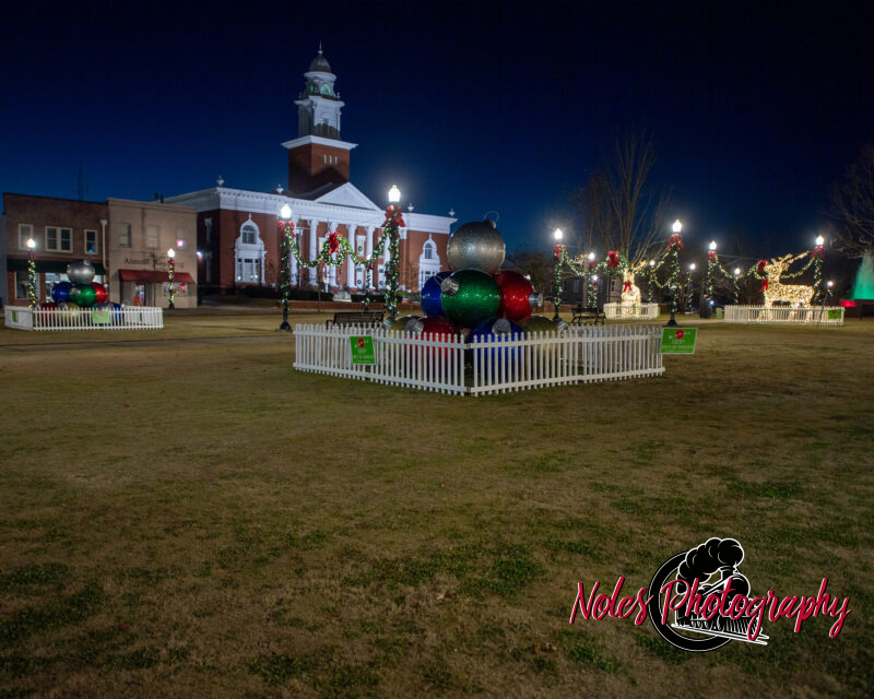 2023-Opelika-Decorations-3482