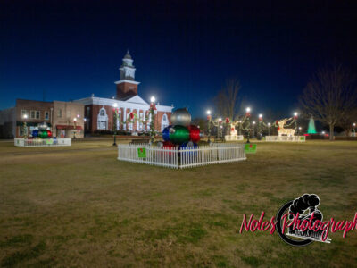 2023-Opelika-Decorations-3483
