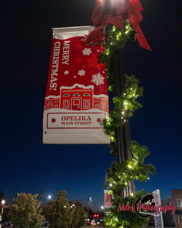 2023-Opelika-Decorations-3485