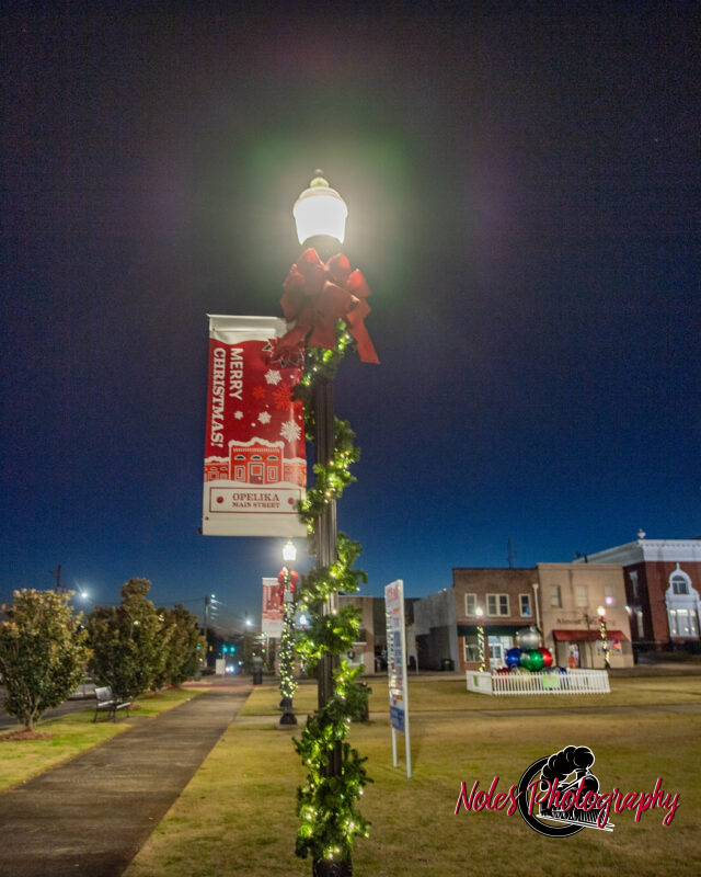 2023-Opelika-Decorations-3486