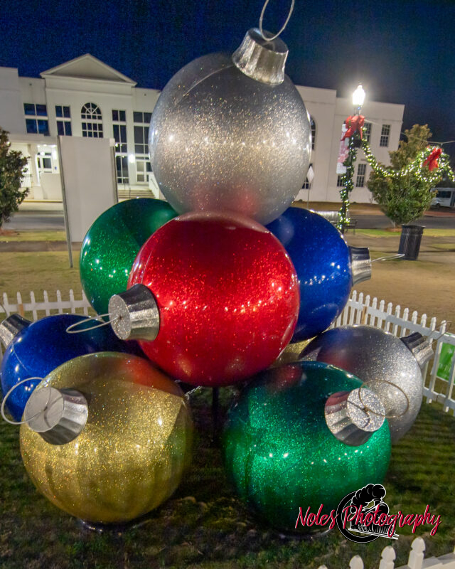 2023-Opelika-Decorations-3489