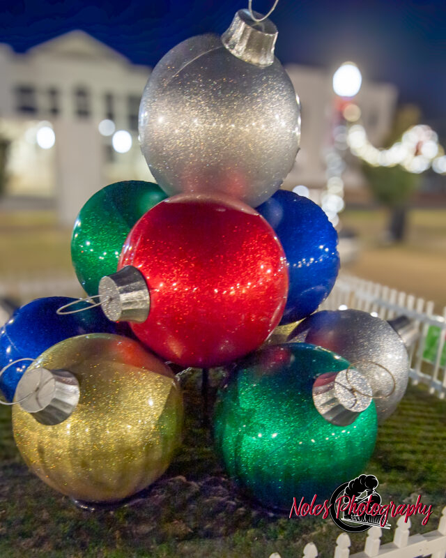2023-Opelika-Decorations-3490