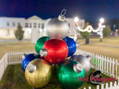 2023-Opelika-Decorations-3491