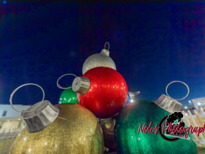 2023-Opelika-Decorations-3492