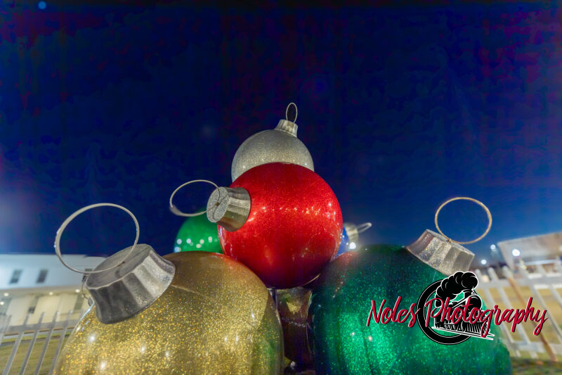 2023-Opelika-Decorations-3492
