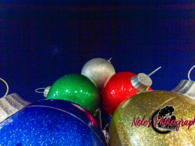2023-Opelika-Decorations-3493