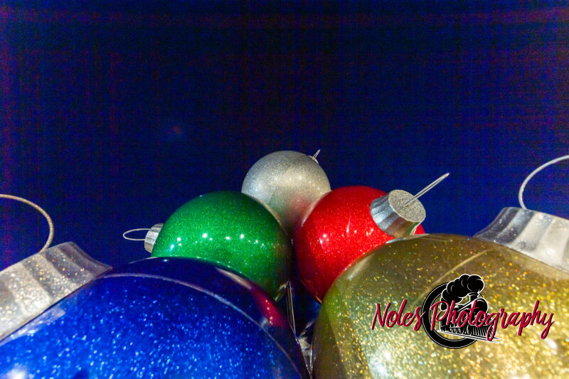 2023-Opelika-Decorations-3493