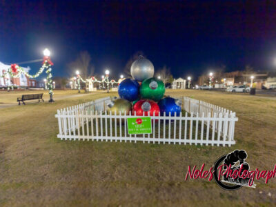 2023-Opelika-Decorations-3495
