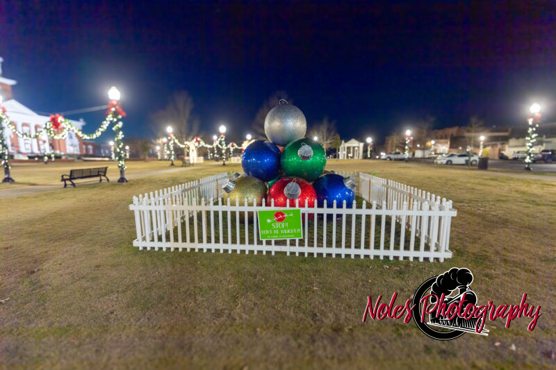2023-Opelika-Decorations-3495