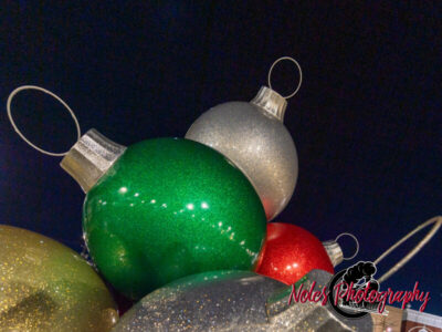 2023-Opelika-Decorations-3498