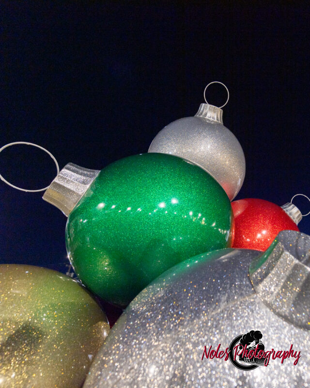 2023-Opelika-Decorations-3499