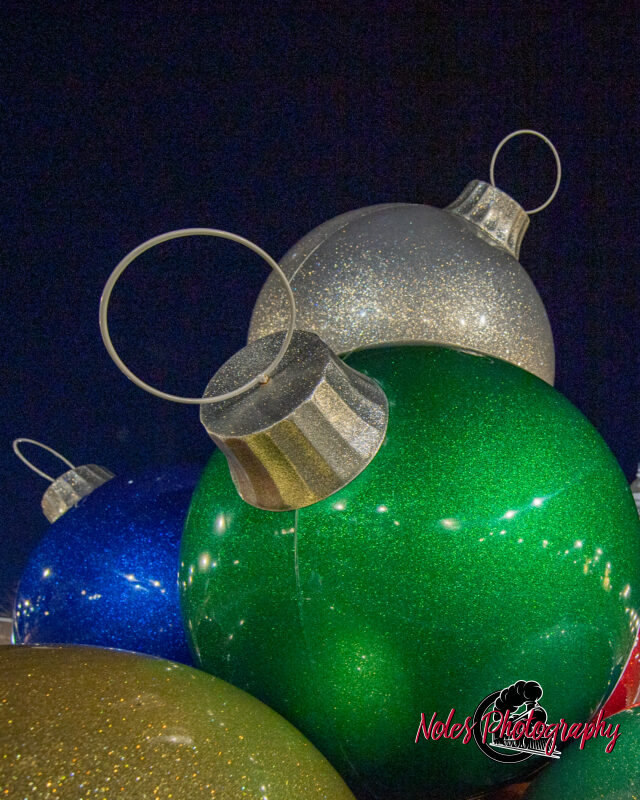 2023-Opelika-Decorations-3501