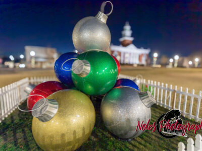 2023-Opelika-Decorations-3502