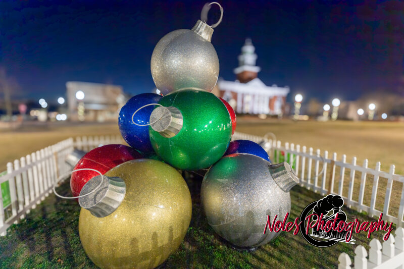 2023-Opelika-Decorations-3502