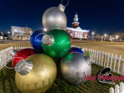 2023-Opelika-Decorations-3503