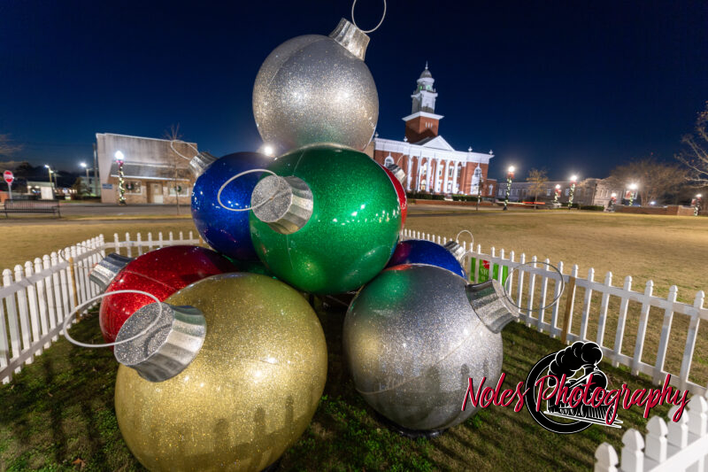 2023-Opelika-Decorations-3503
