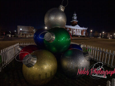 2023-Opelika-Decorations-3505